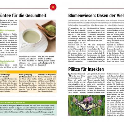 Gz24 2 Sommer28