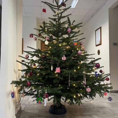 202412 Kiga Weihnachtsbaum 9
