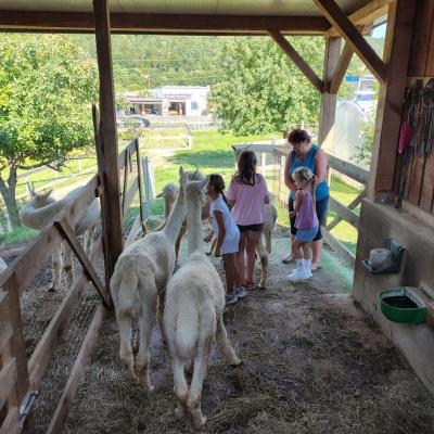 20250722 Bauernhof 13