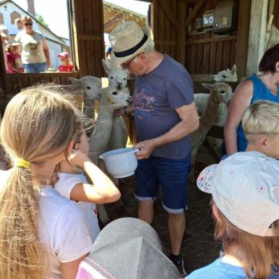 20250722 Bauernhof 1
