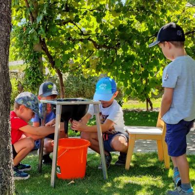 20250722 Bauernhof 3