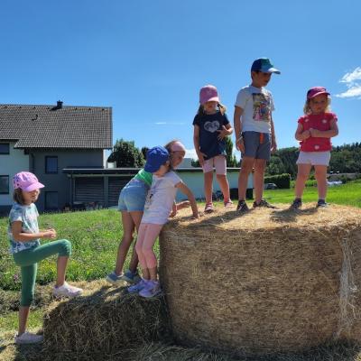 20250722 Bauernhof 7