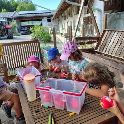 20250722 Bauernhof 9