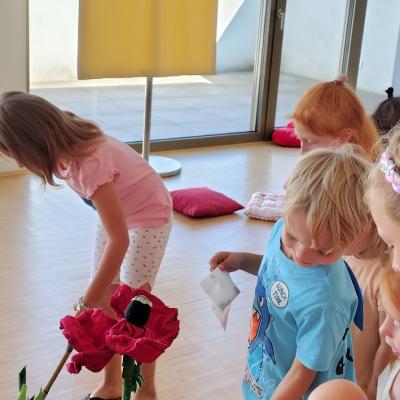 20250801 Blumenwiese 1