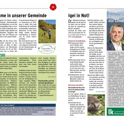 Gz25 4 Winter Aktuell29