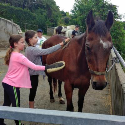 2020 07 24 Esel Wanderung 7